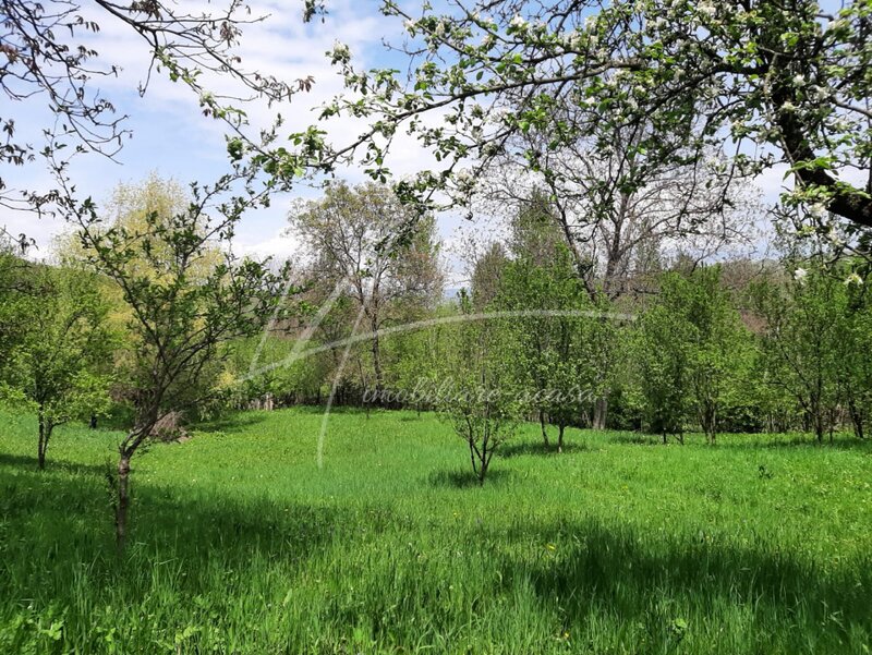 Provita de Sus Teren intravilan in Provita de Sus-constructie intabulata-ideal pentru renovare.