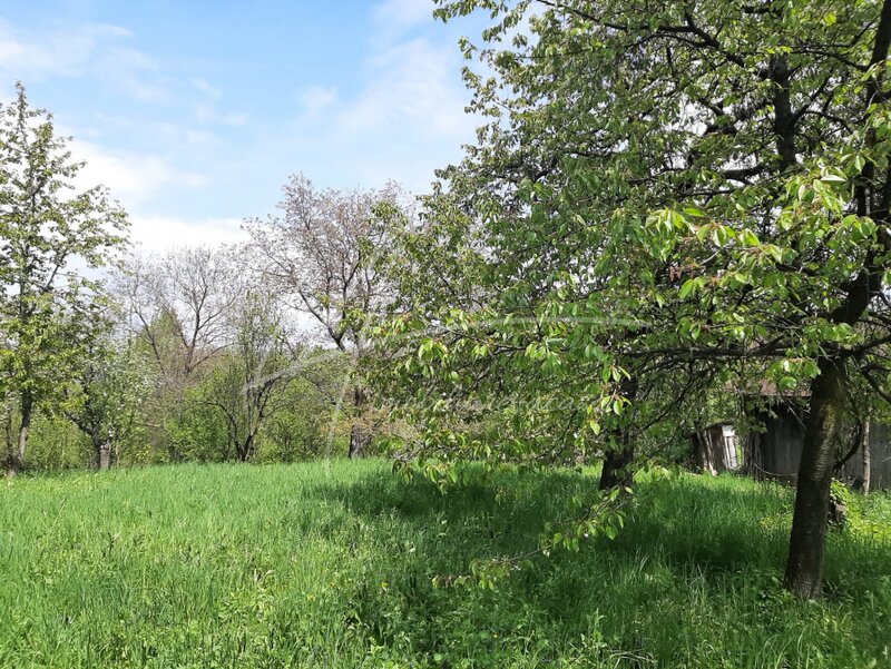 Provita de Sus Teren intravilan in Provita de Sus-constructie intabulata-ideal pentru renovare.